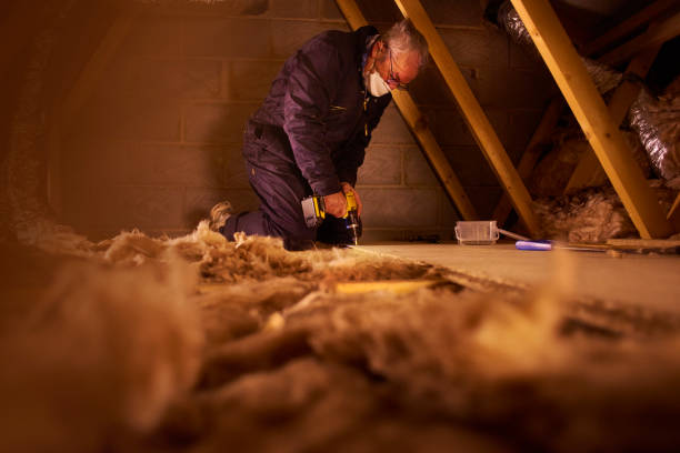 Insulation Replacement Services in Athens, GA